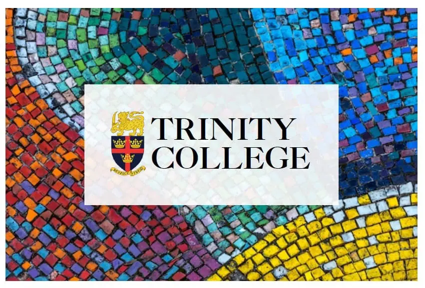 Logo and Colour Blocks 2