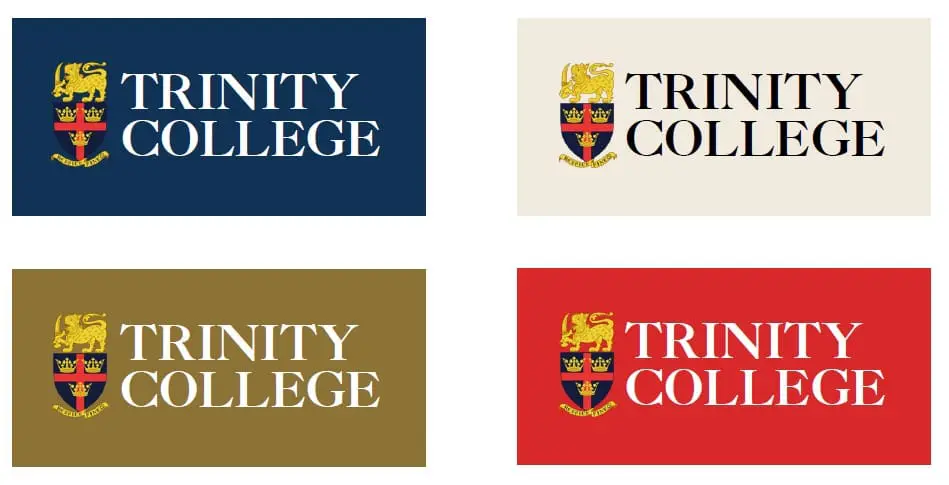 Logo and Colour Blocks