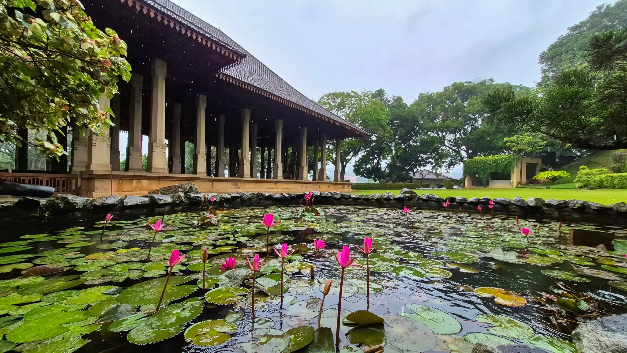 A peaceful rainy view captured from the Chapel pond!

Interestingly, the water lilies in the pond appear as a recurring motif in the chapel’s carved stone and gammalu (wood) work.

Photographed by Nesath Rajakaruna