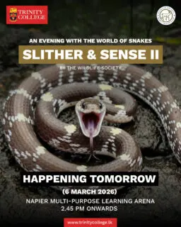 Slither & Sense II will take place tomorrow, 6 March, at the Napier Multi-Purpose Learning Arena from 2.45 pm onwards. The event is organised by the Wildlife Society.