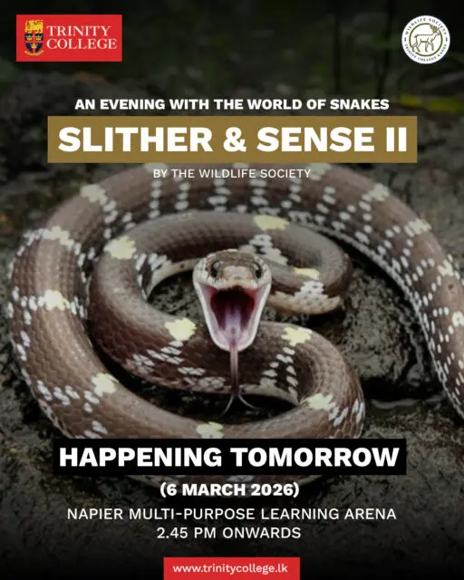 Slither & Sense II will take place tomorrow, 6 March, at the Napier Multi-Purpose Learning Arena from 2.45 pm onwards. The event is organised by the Wildlife Society.