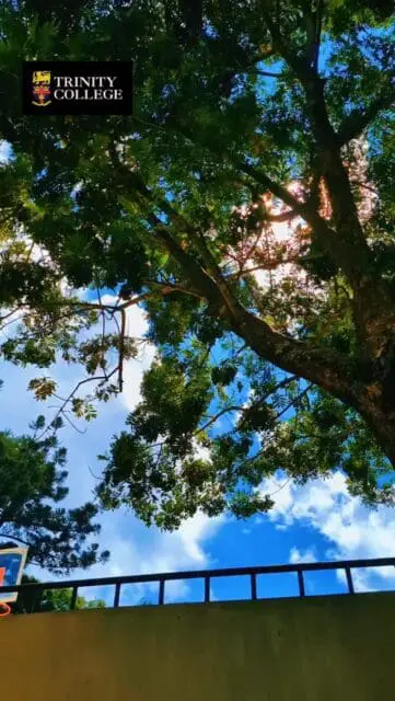 A school on the hill, calm, quiet, and still,
Where the trees and the skies shape more than they fill,
Where the land gives us more than words ever will,
A reminder to pause, and to care with intent and with will.

This #EarthDay reminds us that appreciation starts with awareness. The places we walk through every day matter more than we think.

Take a moment. Look around. Protect what quietly sustains us!