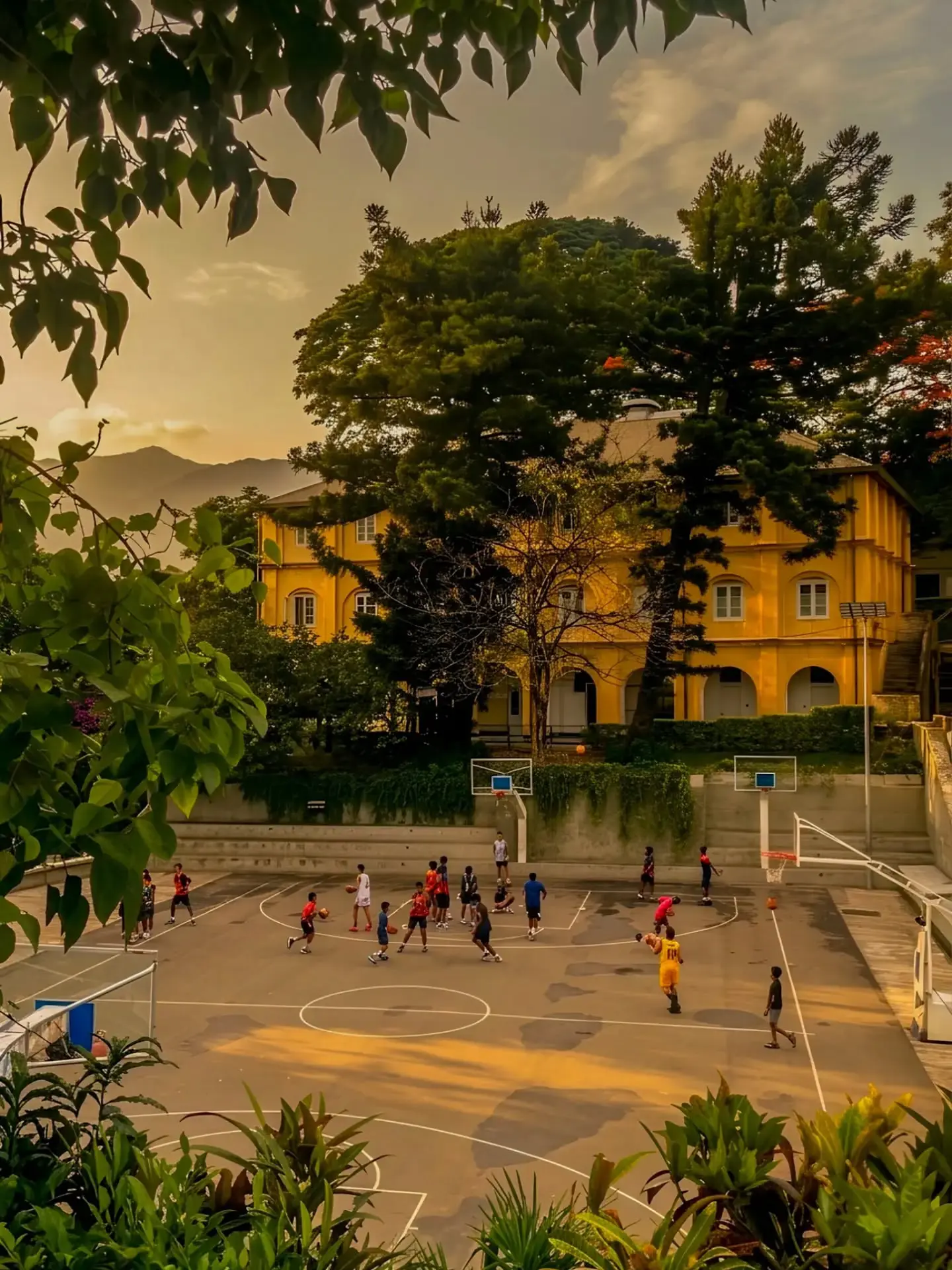 Golden #sundown from the quadrangle! 🍃

.
.
Pic by Shenal Wijeratne