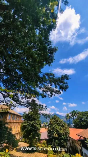 Never enough of this breathtaking view! 🍃