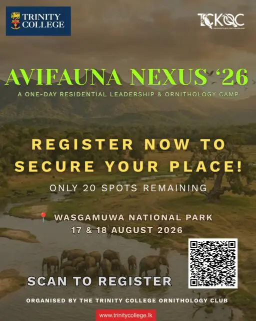 AVIFAUNA NEXUS '26 – Registrations Now Open! 🦜🌿

Step into the wild and experience an unforgettable journey of exploration, leadership, and conservation at Avifauna Nexus '26 – a One-Day Residential Leadership & Ornithology Camp at Wasgamuwa National Park

Discover Sri Lanka's incredible birdlife and wildlife while developing leadership, teamwork, field observation, and environmental stewardship through exciting outdoor activities.

📍 Venue: Wasgamuwa National Park
🗓️ Duration: One-Day Residential Camp
💵 Programme Fee: Rs. 15,000/- per participant

⚠️ Only 20 Spots Remaining!
✅ Registrations are accepted on a first come, first served basis.

For more details and the parent consent letter, WhatsApp Master Sawin Danthasinghe +94 707 419 140 (President, TCKOC).

Registration Deadline: 31st July 2026

Don't miss this unique opportunity to connect with nature, build lifelong friendships, and become a champion for biodiversity conservation.

Explore. Observe. Learn. Lead. Conserve.