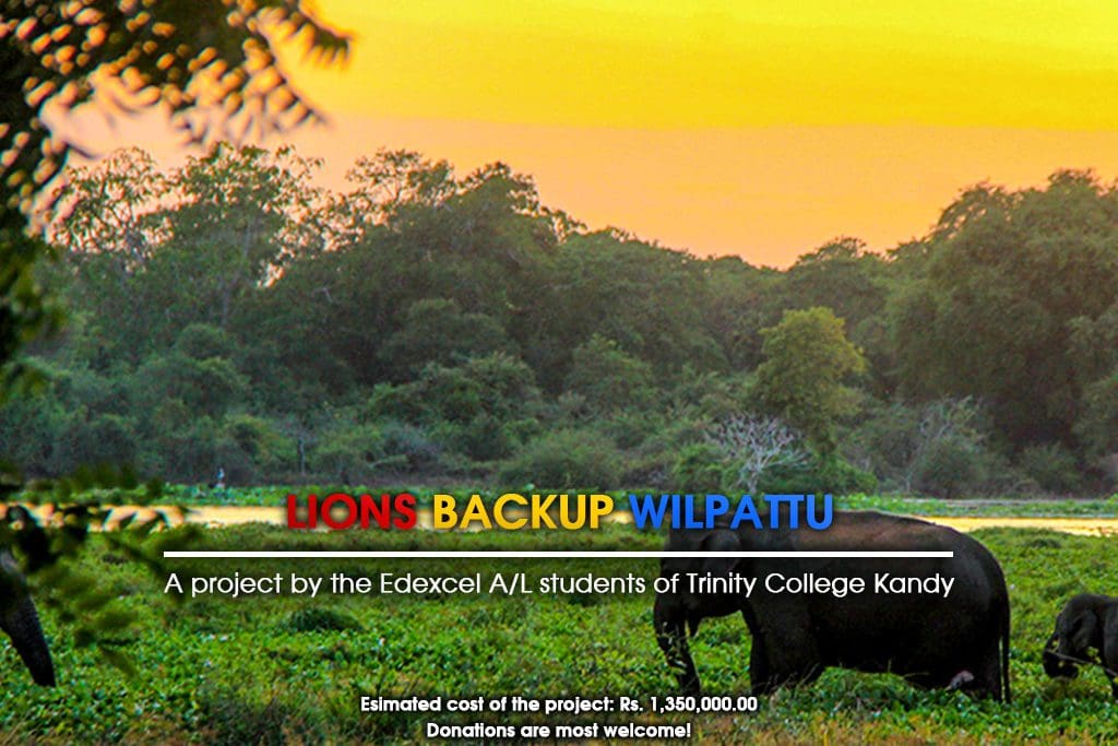trinity-college-kandy-project-wilpattu
