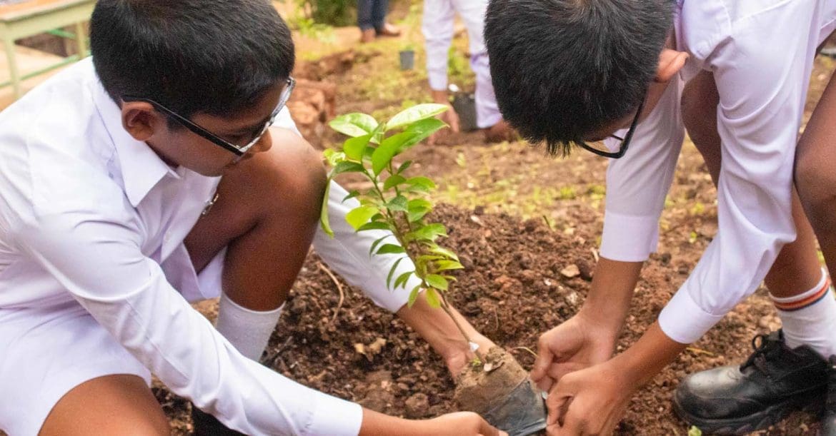 Trinity University Environment From Awareness to Action: Trinity College Climate Week Empowering ...