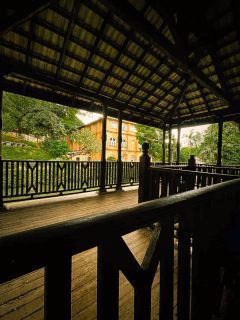 The view of Alison House from the Gaster Block! 

#trinitycollegelk #buildings #architecture 

Pic by Neson George