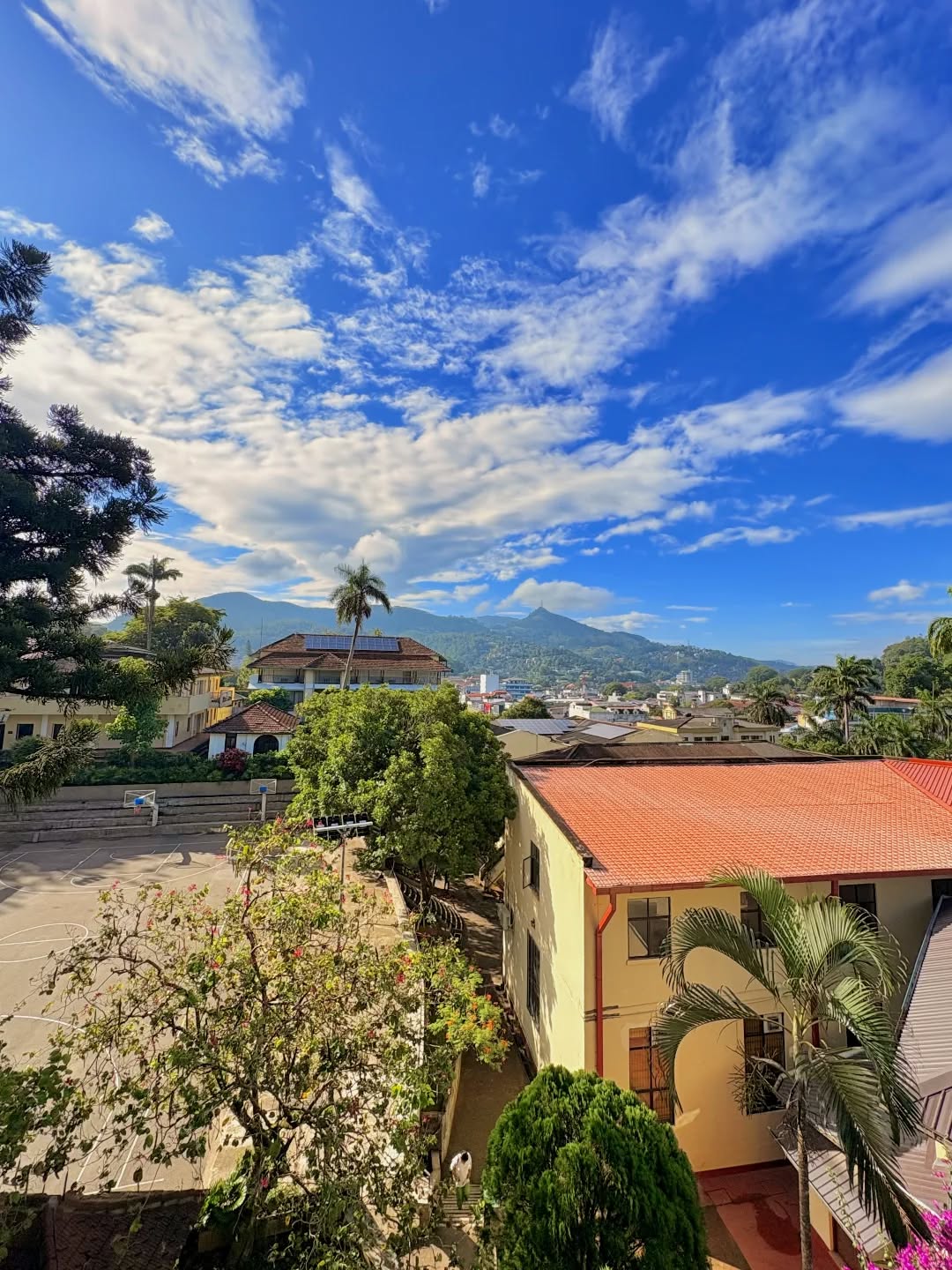 For brighter days! 🍂
#trinitycollegekandy
Pic by Jason Navaratne