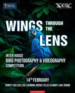 The Ornithology Club of Trinity College Kandy is hosting Wings Through the Lens, an inter-house bird photography and videography competition. 

The event will be held on 14th February at the Trinity College Eco Learning Arena and the Kandy Lake Round. 

#TrinityCollegeKandy #BirdPhotography