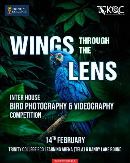 The Ornithology Club of Trinity College Kandy is hosting Wings Through the Lens, an inter-house bird photography and videography competition. 

The event will be held on 14th February at the Trinity College Eco Learning Arena and the Kandy Lake Round. 

#TrinityCollegeKandy #BirdPhotography