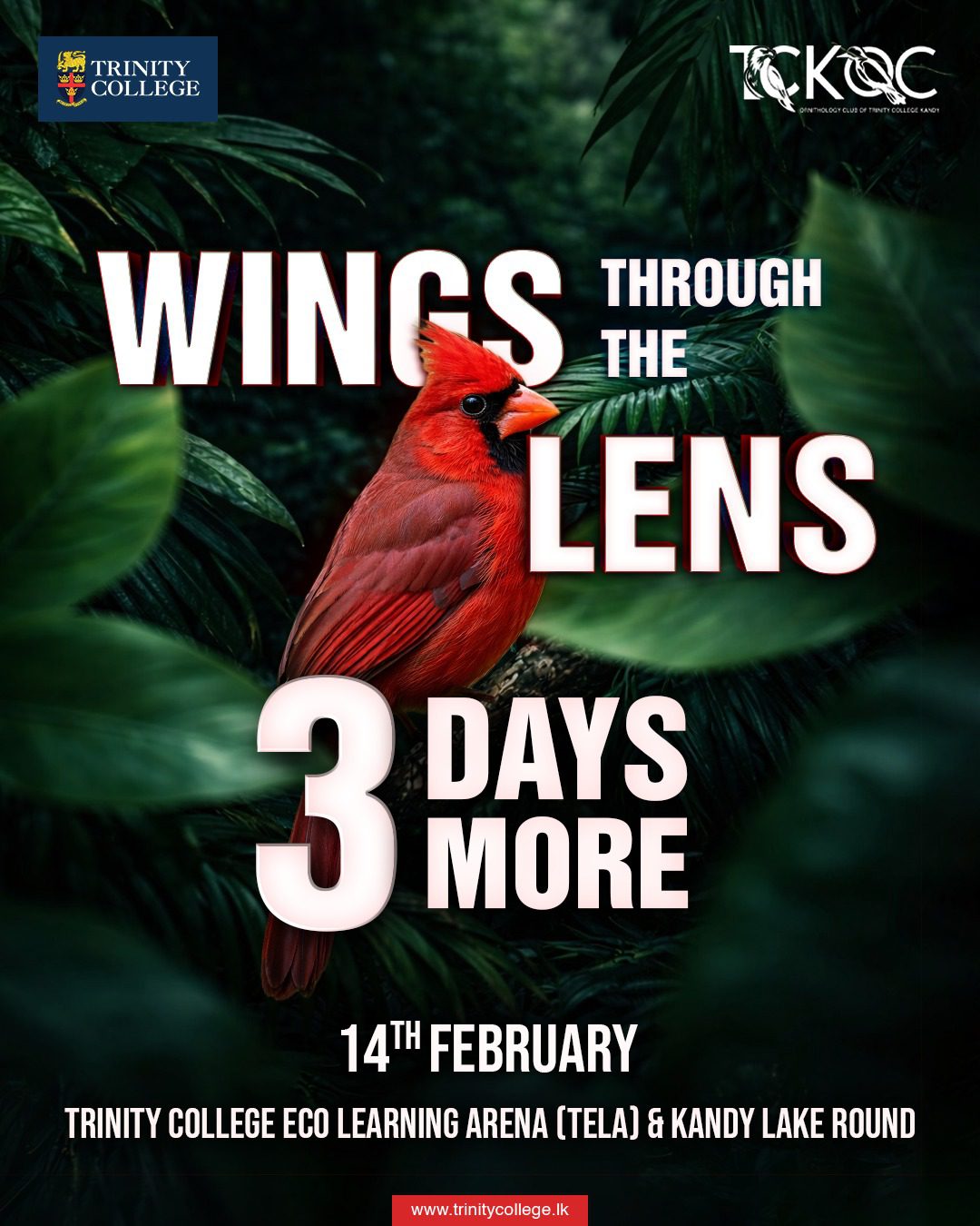 Just 3 days more to capture nature’s finest moments through your lens! 

Join us on 14th February at the Trinity College Eco Learning Arena (TELA) & Kandy Lake Round for an inspiring journey into the world of birdlife and photography.

Get ready to frame the wild, freeze the flight, and celebrate the beauty of nature.

#WingsThroughTheLens #TrinityCollegeLK #TCK #EcoLearningArena #TELA #KandyLake #BirdPhotography #NaturePhotography #YoungNaturalists #PhotographyEvent #Ornithology #TrinityCollegeKandy