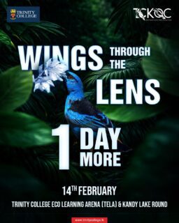 Just 1 day to go!
Get ready to experience nature like never before at Wings Through the Lens, where every frame tells a story of life in the wild.
Join us tomorrow at the Trinity College Eco Learning Arena (TELA) and around the Kandy Lake for a day of discovery, photography, and appreciation of our feathered friends.
Hosted by the Ornithology Club of Trinity College Kandy of Trinity College Kandy.
Let your lens take flight.
#WingsThroughTheLens #BirdPhotography #NaturePhotography #WildlifeSriLanka #KandyLake #EcoLearning #BirdWatching #NatureLovers #PhotographyEvent #ExploreNature #TrinityCollegeKandy #trinitycollegelk #trinitycollegekandy