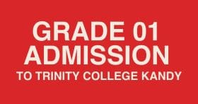 TRINITY COLLEGE APPLICATION DEADLINE 2026 visual data 5